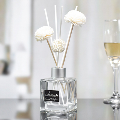 Het Kleine Aroma Reed Diffuser And Oil 50ml van de glasfles DPMA