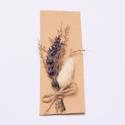 Kleurrijk Natuurlijk Droog Gras 43*15cm van Pampas voor Giftreeks
