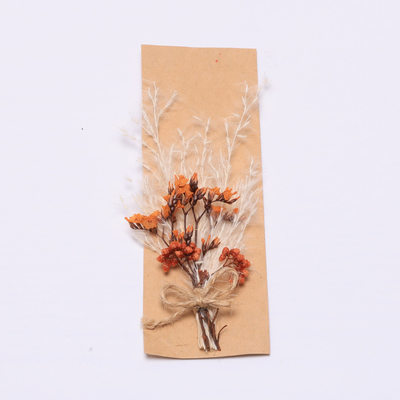 Kleurrijke Pampagrasregeling Kunstmatige 43*15cm