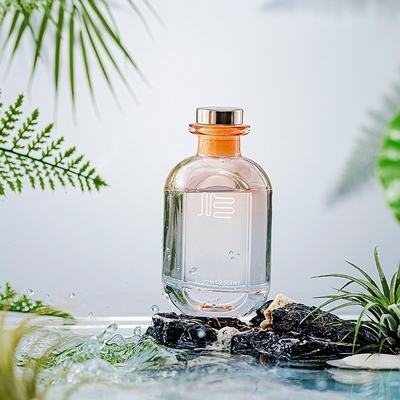 Aangepaste glazen fles etherische olie Aromatherapie Stick Clear Household Reed Diffuser