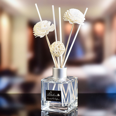 Het Kleine Aroma Reed Diffuser And Oil 50ml van de glasfles DPMA
