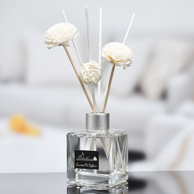Het Kleine Aroma Reed Diffuser And Oil 50ml van de glasfles DPMA