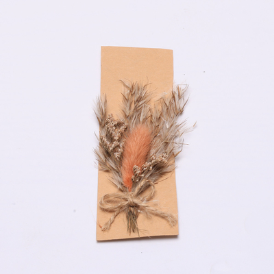 Kleurrijk Natuurlijk Droog Gras 43*15cm van Pampas voor Giftreeks