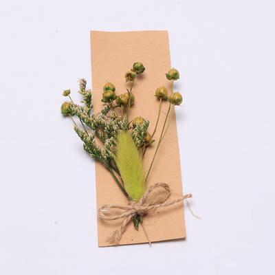 Kleurrijke Pampagrasregeling Kunstmatige 43*15cm
