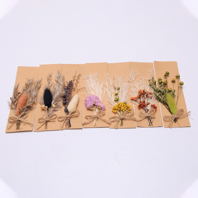 Kleurrijke Pampagrasregeling Kunstmatige 43*15cm