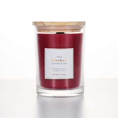 De met de hand gemaakte Witte Kaars van Sage Outdoor Glass Scented Soy van de Schuurvanille voor Huis