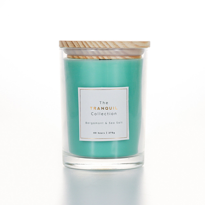 De met de hand gemaakte Witte Kaars van Sage Outdoor Glass Scented Soy van de Schuurvanille voor Huis