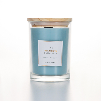 De met de hand gemaakte Witte Kaars van Sage Outdoor Glass Scented Soy van de Schuurvanille voor Huis