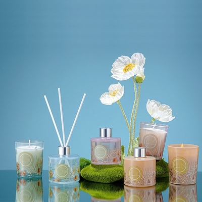 Gift Vastgestelde 60g 50ml van Pinecone Reed Diffuser Scented Candle Jar van de huwelijkspartij de Kleurrijke