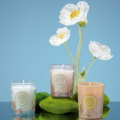 Gift Vastgestelde 60g 50ml van Pinecone Reed Diffuser Scented Candle Jar van de huwelijkspartij de Kleurrijke
