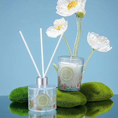 Gift Vastgestelde 60g 50ml van Pinecone Reed Diffuser Scented Candle Jar van de huwelijkspartij de Kleurrijke