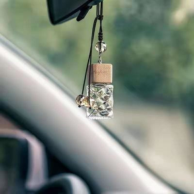 2021 Privé van de het rietverspreider van de etiket kleine auto van de het parfumgeur de oliegeur voor decoratie