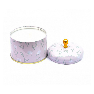 Het met de hand gemaakte Bemerkte Metaal Tin Can Candle 100ml 250ml van de Sojawas